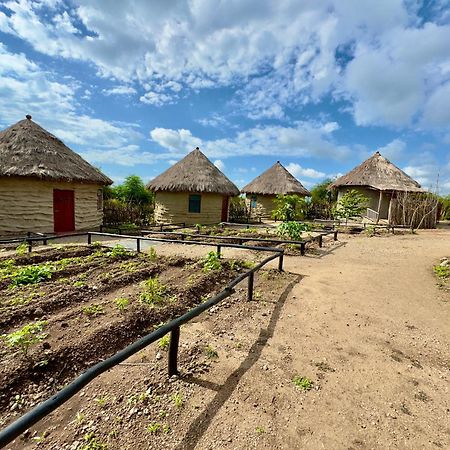 Maasai Eco Boma & Lodge - Experience Maasai Culture Makuyuni Luaran gambar