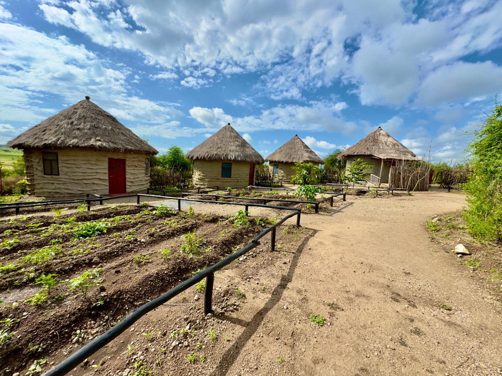 Maasai Eco Boma & Lodge - Experience Maasai Culture Makuyuni Luaran gambar