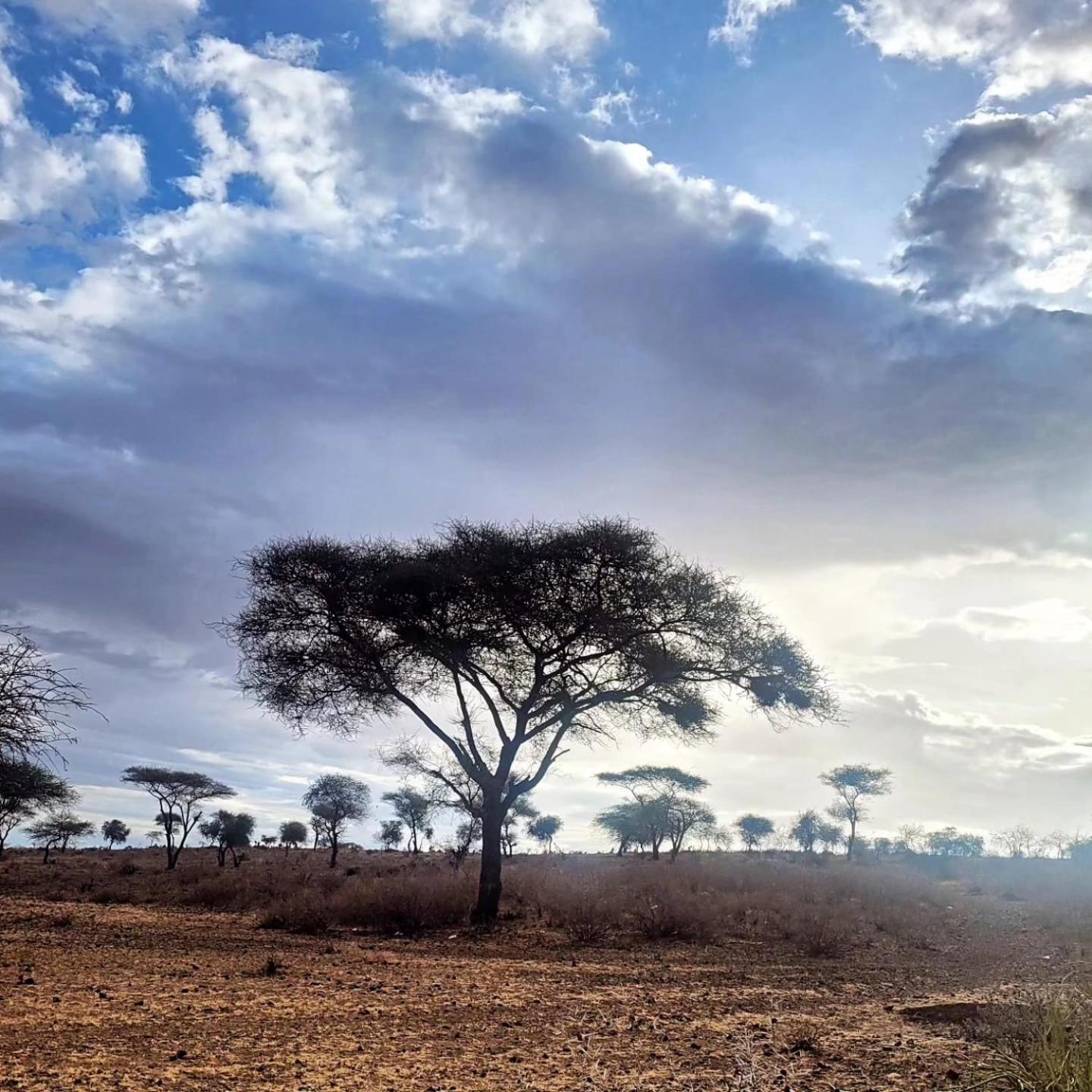 Maasai Eco Boma & Lodge - Experience Maasai Culture Makuyuni Luaran gambar